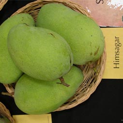 হিমসাগর আম