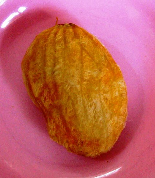 হিমসাগর আম